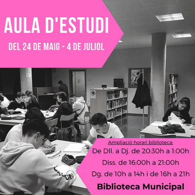 Aula d’estudi d’estiu 