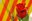 Sant Jordi per a la Gent Gran