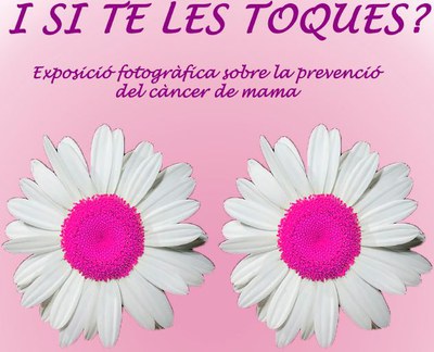 EXPOSICIÓ: " I si te les toques?" a Les Fonts