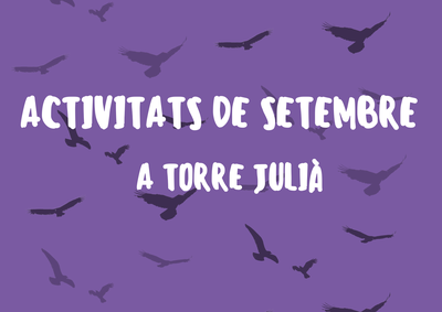 Taller de braçalets + Espai Jove Torre Julià