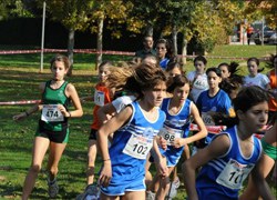 Més de 350 atletes participaran en el Cros Escolar al parc de Can Feliu