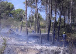 Clou una campanya d'incendis forestal atípica