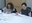 El Voluntariat per la llengua de St. Quirze del Vallès  organitza un taller d’haikus