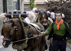 Tot a punt per la Passada de Sant Antoni Abat de Sant Quirze del Vallès