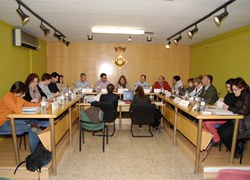 El Ple aprova el Pla d’ajust econòmic del Govern de l’Estat espanyol