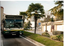 Nous horaris dels autobusos de la línia L-12 durant l'agost