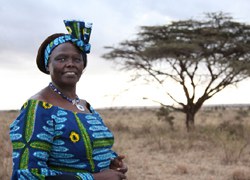 La dona arbre Wangari Maathai protagonitzarà una sessió de contes a les Fonts