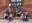 L'Institut Sant Quirze triomfa al Concurs Planter de Sondeigs i Experiments