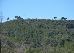 Prohibició de fer foc en zones forestals