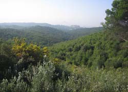 L’Ajuntament crea una comissió per a la redacció de l’ordenança de protecció de la Serra de Galliners