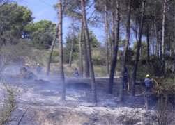 Comença la prohibició de fer foc en zones forestals i en la franja de 500 metres que els envolta