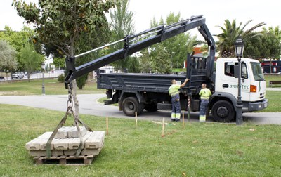 Comença la instal·lació d'un 'greenparc' al Parc de les Morisques