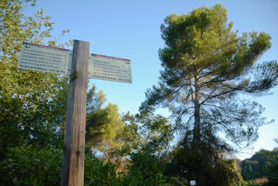 Sant Quirze celebra diumenge la festa del medi ambient