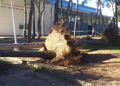 Actualització ventades: l'alerta passa a emergència per la multiplicació d'incidències