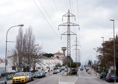 Treballs d'esporga a l'arbrat públic proper a les línies d'alta tensió
