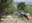 Actuacions per a la protecció d’incendis forestals