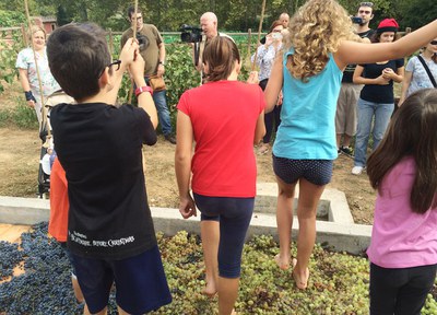 Petits i grans gaudeixen fent la verema a la popular Festa del Most