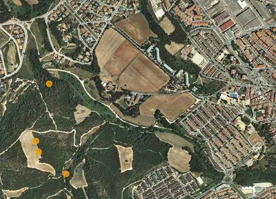 Agricultura autoritza nous punts per a la caça nocturna de senglars