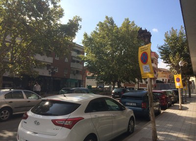 Substitució de tres arbres al carrer Sant Jaume