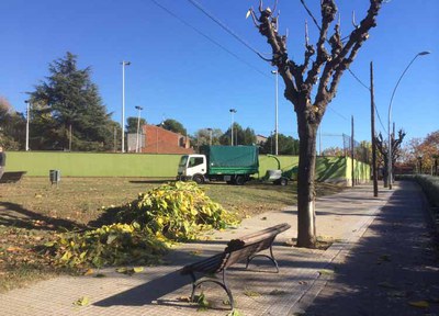 Comença la campanya d'esporga