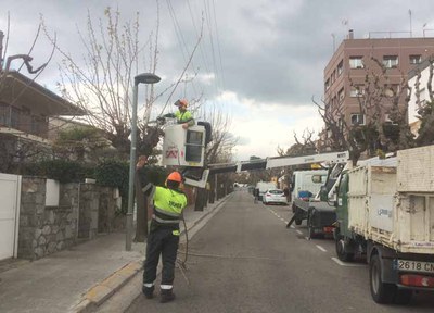 Endesa ha començat avui els treballs de manteniment de l’arbrat sota les línies d’alta tensió