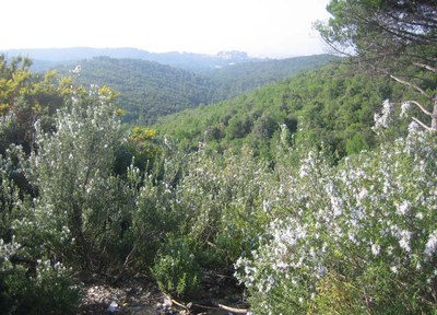 El cap de setmana a SQV