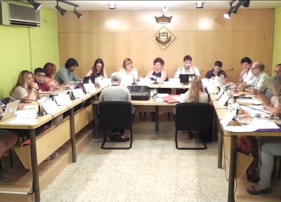 Ple ordinari del mes d’octubre