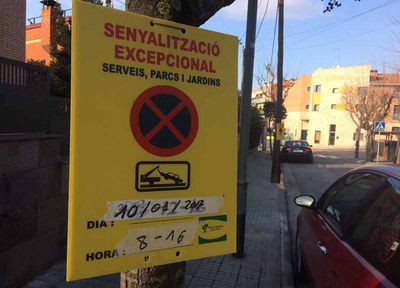 Continuen els treballs d’esporga