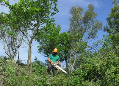 Neteja del mirador del Pujol Blanc