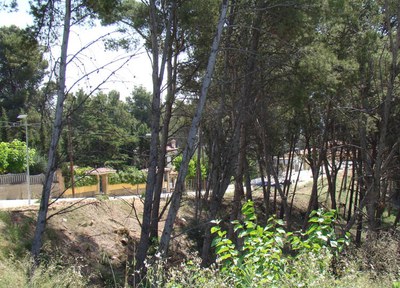Aprovat inicialment el projecte de reparació de vials de Castelltort