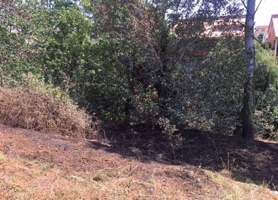 Incendi a prop del parc de la Betzuca