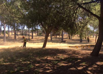 Desbrossaments al bosquet i a la zona de la Masia de Can Feliu