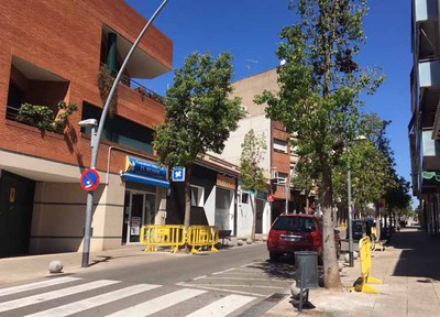 Millores al paviment de l'avinguda de Pau Casals