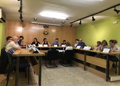 El Ple aprova una declaració en contra de la violència viscuda l'1-O i exigeix responsabilitats polítiques al govern de l’Estat