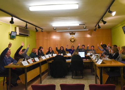 El ple aprova la creació de diverses taules juvenils per abordar aspectes com la salut o l’ocupació