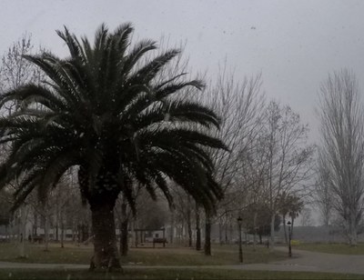 L'Ajuntament comença a realitzar els treballs per prevenir els efectes de la nevada
