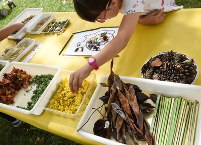 La Festa del Medi Ambient proposa obrir els sentits a la Natura