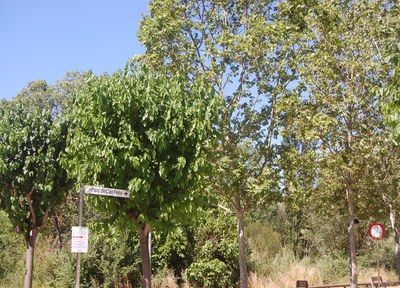 Comença la campanya de vigilància d’incendis forestals