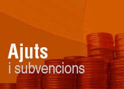 Comença el termini per sol·licitar ajuts a projectes de cooperació