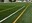 Fase final dels treballs d'instal·lació de la nova gespa del camp de futbol