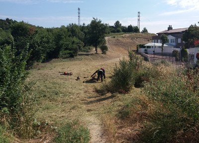 Actuacions forestals de prevenció d'incendis i protecció del medi natural
