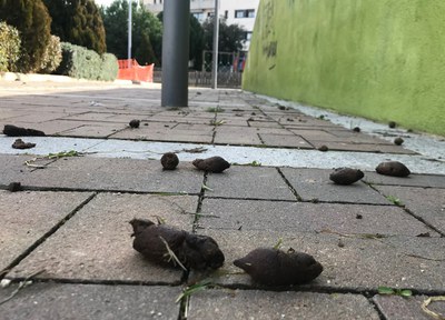 L’incivisme afecta la butxaca de tothom