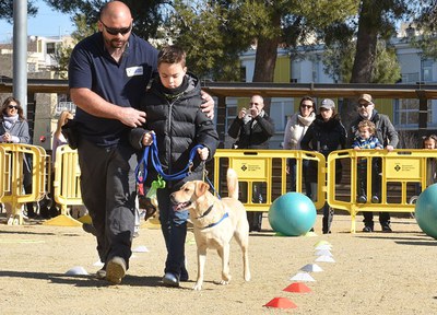 La Festa dels Animals es consolida amb èxit de participació