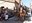 Sant Quirze torna a gaudir de la tradicional Passada de Sant Antoni Abat 