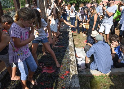 Sant Quirze viu una multitudinària Festa del Most