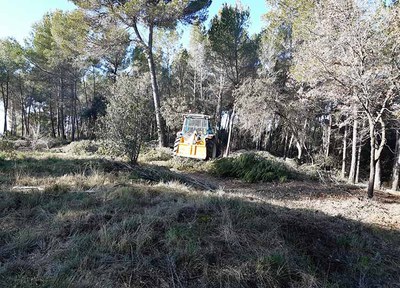 Continua la gestió forestal per a la prevenció d’incendis