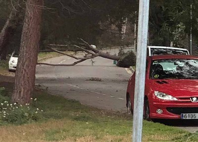 Es manté l'alerta per risc meteorològic de vent i acumulació de pluja