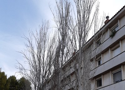 Es reprenen els treballs de gestió forestal pendents abans de l'estat d'alarma