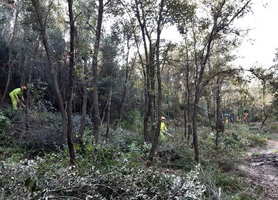 L’ADF actua per prevenir els incendis forestals