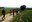 Més de 80 participants de Sant Quirze en una caminada solidària de l'Ateneu del Món